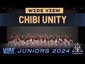 Chibi unity  vibe jrs 2024 vibrvncy wide view 4k