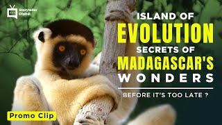 Madagascar s SECRET JEWEL Bizarre Beasts Adorable Faces Fight for Survival Can We Save Them
