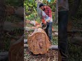 Cutting Through Timber: The Craftsmanship Behind Logging