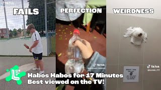 Download Lagu Almost 17 More Minutes of Habos Babos (TikTok Compilation) MP3