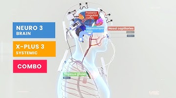 Vielight Neuro Duo | X Plus Brain-Systemic Photobiomodulation System