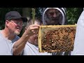 Faribault, Minn., inmates learn honeybee management