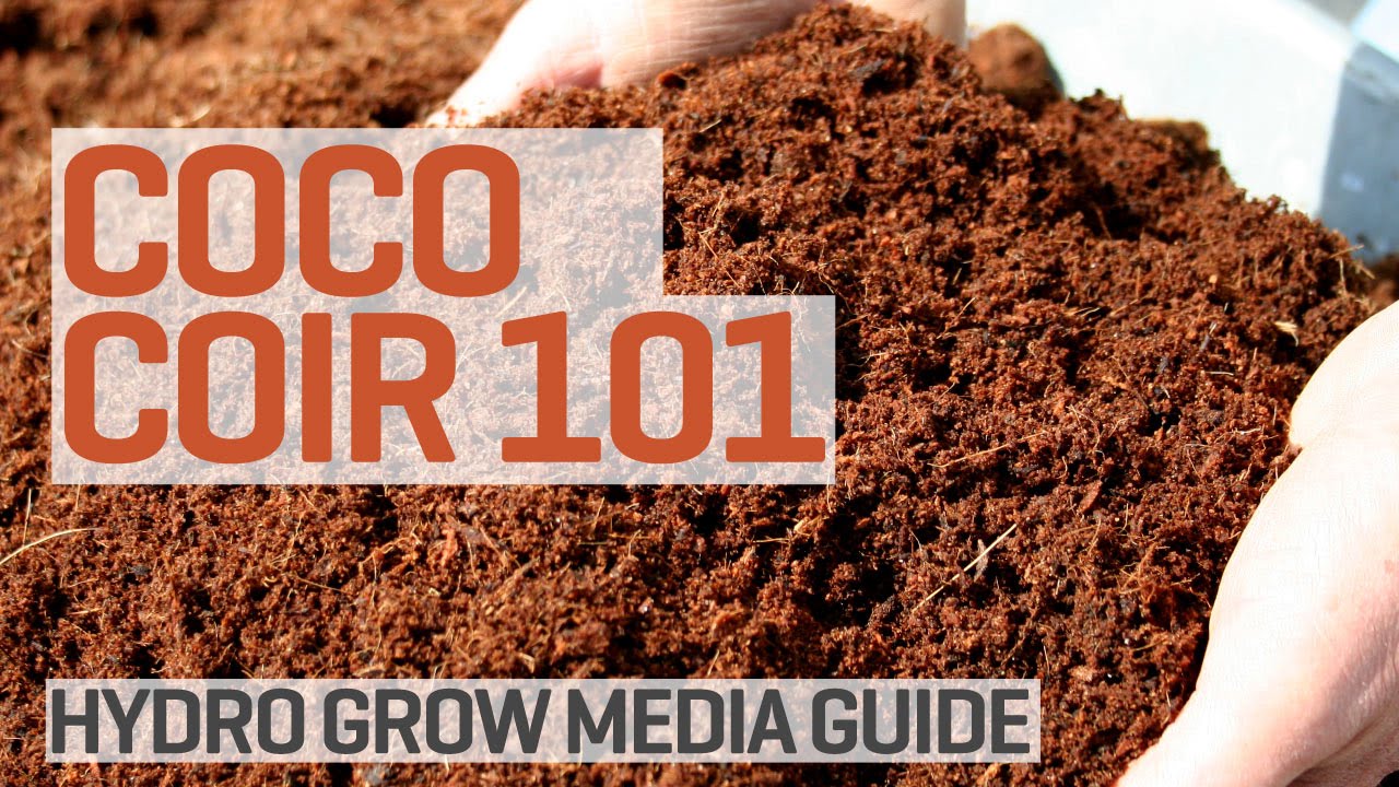 Root Royal 5 kg 60L COCO Brick Bale Coir Fiber Husk Soil-less Media BAY HYDRO $$ 