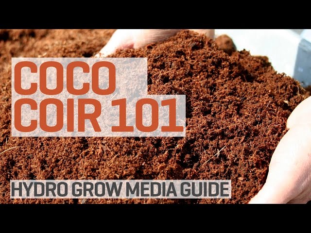 Coco Coir Grow Media Hydroponics 101 class=