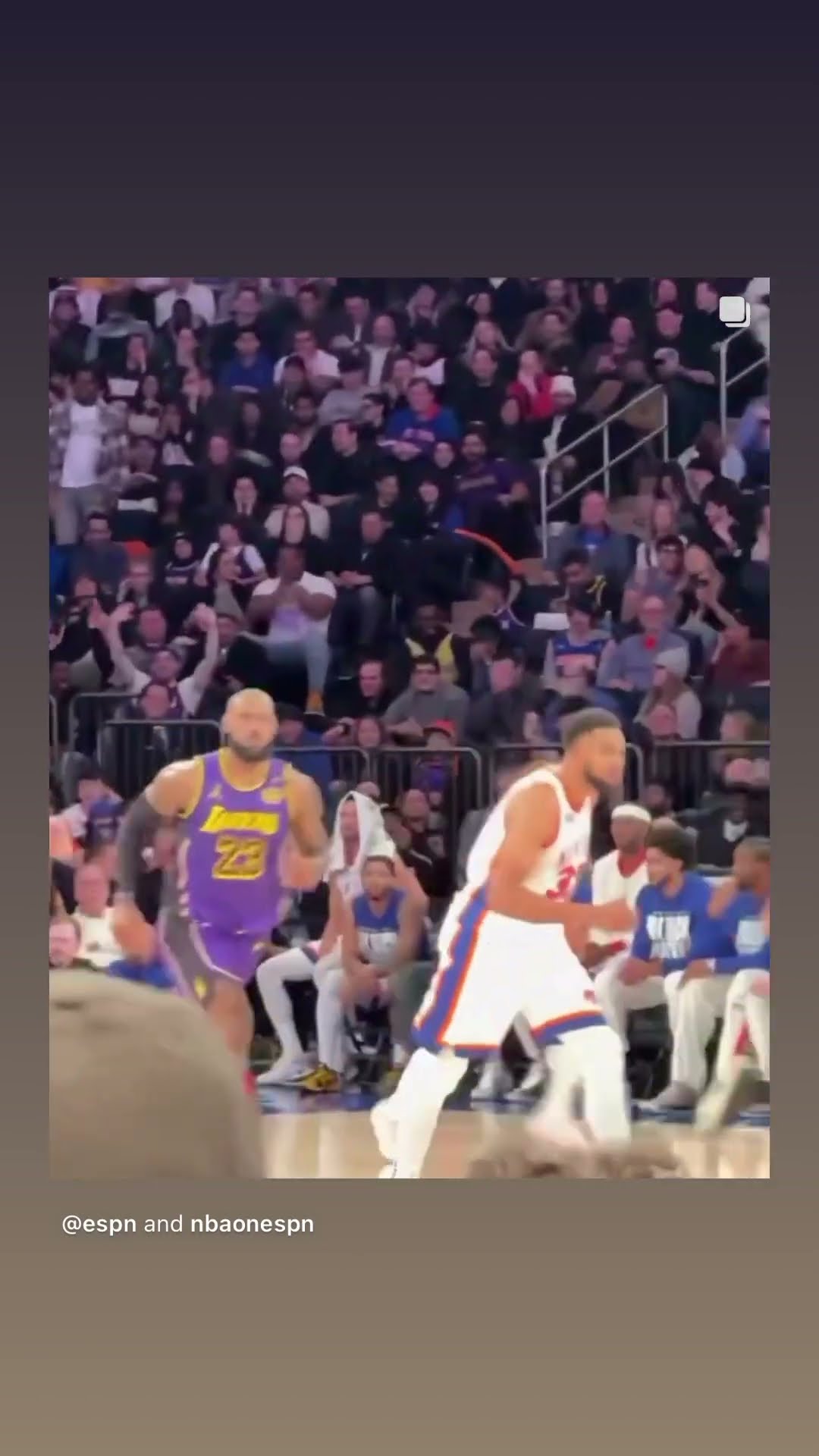 He runs this league #hoodnews #kingjames #dunk #lakers #knicks #trending #viralvideo #basketball