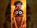 सुप्रभात || Jai Jagannath ⭕️❗️⭕️