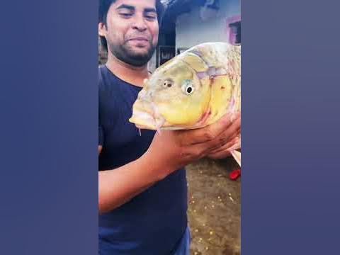 5 kg fish - YouTube