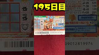 【１９５日目】100万円当たるまで毎日宝くじ買うチャレンジ【にじさんじ/グウェル・オス・ガール】
