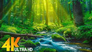 [4K 60FPS] Beautiful relaxing music - stop thinking, music to relieve stress #54