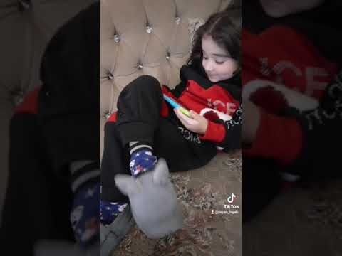 هذه المخلوق لا بدفع كهربا ولا مي