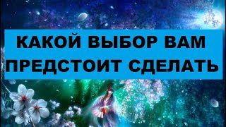 КАКОЙ ВЫБОР ВАМ ПРЕДСТОИТ СДЕЛАТЬ / Таро расклад