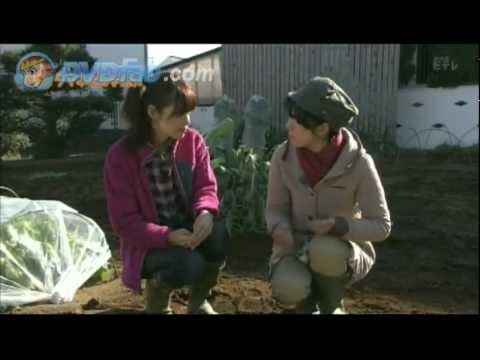 趣味の園芸やさいの時間 ペットボトル菜園 2 2 Youtube