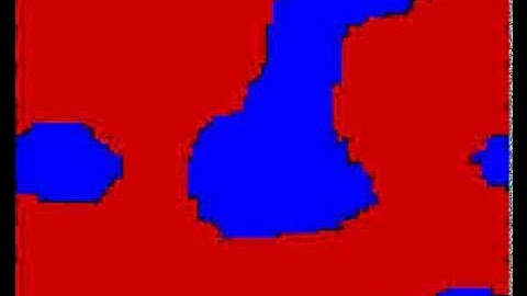 2D Spatial voter model simulation, N=100, p=1