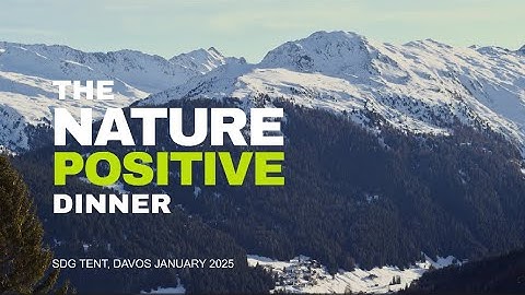 ‘Accelerating Momentum to a Nature Positive Future’ at Davos 2025