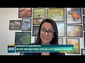 Agronegócio brasileiro tem recorde com 28,4 milhões de trabalhadores | Agro Band