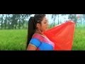 Thahare Na Sinawa Par (Bhojpuri Video Song) Gawanwa Le Ja Raja Ji