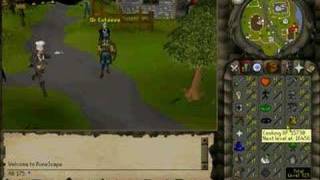 My First Time on the RuneScape Hiscores List