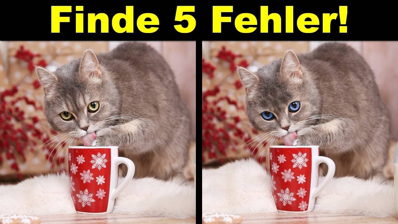 Bilderrätzel Bilderrätzel