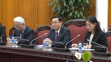 Phó Thủ tướng Vương Đình Huệ tiếp đoàn Hội đồng thúc đẩy ngoại giao nhân dân Nhật Bản (FEC)