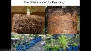 Mart Hale Interview! His Mega Hybrid Underground Rain Gutter Grow System! WOW!