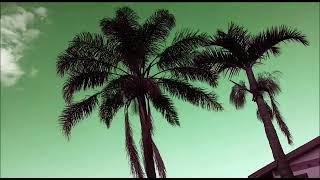 Lee Steezy - Wena Wedwa (Snippet clip)