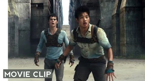THE MAZE RUNNER (2014) - GIẢI MÃ MÊ CUNG - Cảnh chạy trong mê cung