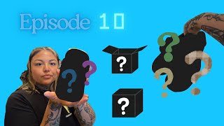 Episode 10: Unboxing + Unbottling screenshot 2