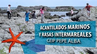Ecosistemas de los acantilados marinos y las rasas intermareales - CEIP Pepe Alba