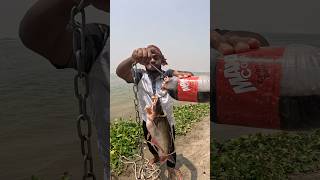 Tempting shark bait thrown into the river-40 #fishing #bait
