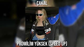 Çakal - Promilim Yüksek (speed up) Resimi
