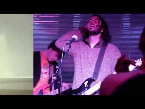 money tree BOA CONSTRICTORS :: Sliced Cake:: may 2015? salt lake city