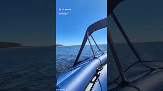 X River Rocky 415 + Tohatsu 18 (2026)