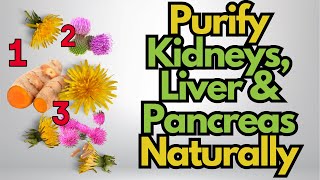 How To Purify Your Kidneys Liver And Pancreas Naturally?