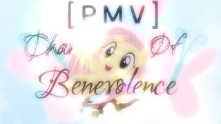γMLP/PMVγπͺππππ ππ π©ππππππππππ