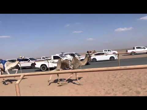 ش6قعدان مفاريد الحاتمي ل فلاح بن مبارك الشمري