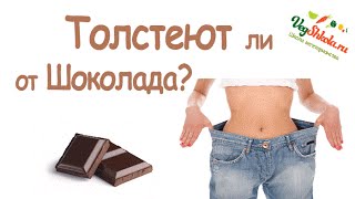 Толстеют ли от шоколада? Вегетарианство. Vegshkola.RU (Майкл Грегер) Толстеют ли от шоколада? Вегетарианство. Vegshkola.RU (Майкл Грегер)