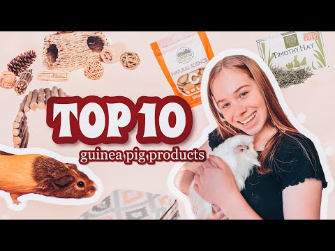 My Top 10