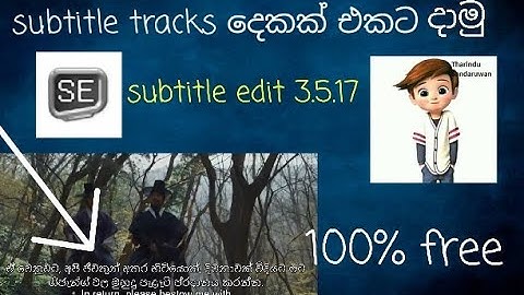 How to add two subtitle tracks to a film - Tharindu Sandaruwan