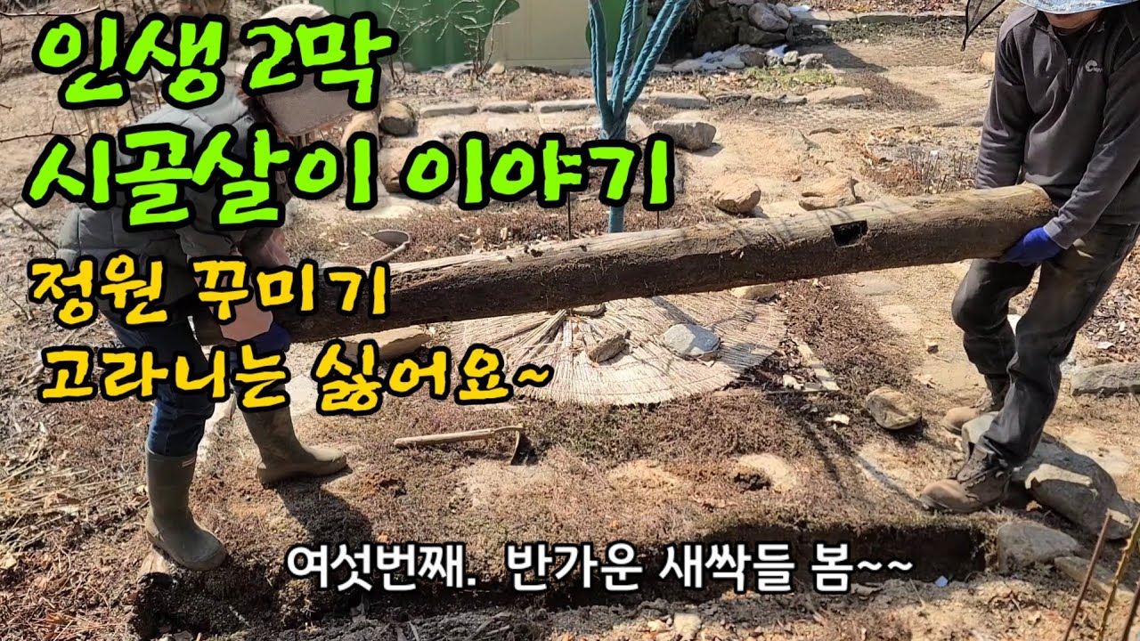 정원 꾸미기 ㅣ봄 새싹들 ㅣ고라니망치기ㅣ화로구이