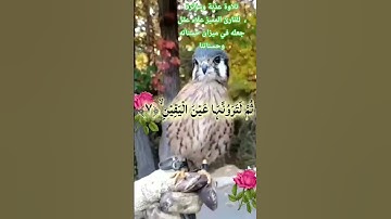 تلاوة عذبة #الكلمة_الطيبة #صوت_جميل #ايات_قرانيه_قصيره #القرآن_الكريم #راحة_نفسية #قرآن #ماشاءالله
