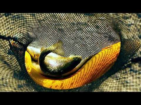 26 მარტს, 12:45 საათზე - \"ფერმა\"