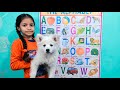 a for apple, b for ball, c for cat | a for b for | english varnamala | अ से अनार | क से कबूतर -367