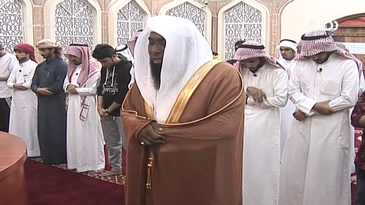 شجرة علي بن ابي طالب