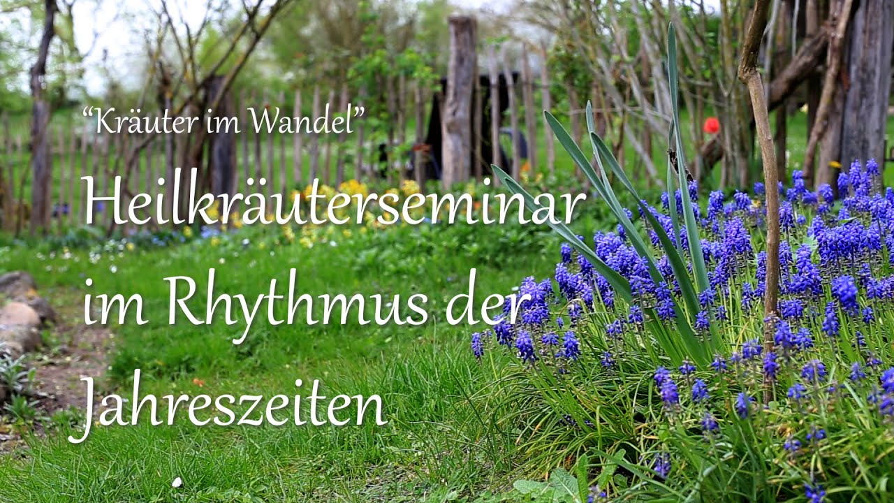 Der Zoo Im Rhythmus Der Jahreszeiten www.youtube.com