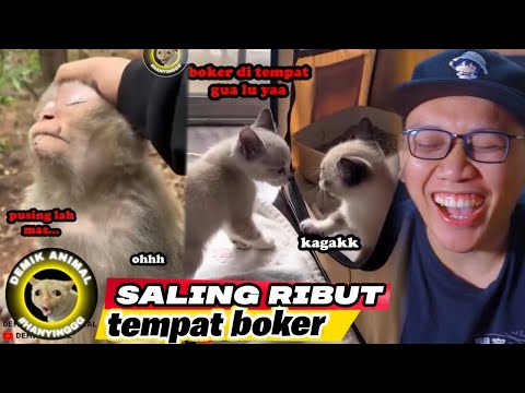 NGAKAK! SAAT BINATANG BICARA BAHASA MANUSIA! REACTION DEMIK ANIMAL! @RendyRangers