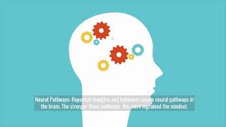 The Brain and Mindset Exploring the Fascinating Connection