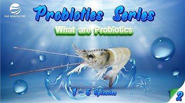 What are Probiotics? | Probiotic series Episode 02