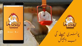 what is future of  poultry business - digital business  - poultry business - digital Pakistan.