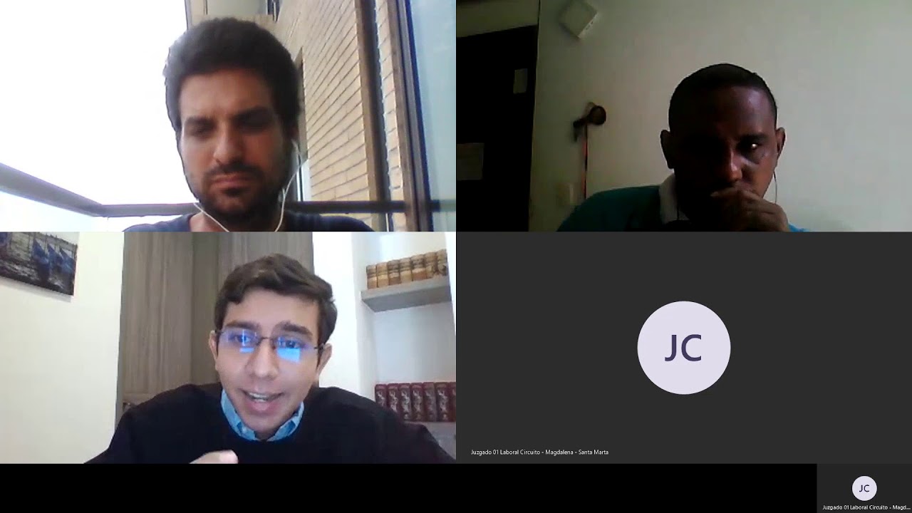 AUDIENCIA VIRTUAL ART 80 SENTENCIA Y APELACION