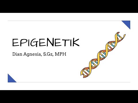Video: Bagaimana modifikasi histon mengatur ekspresi gen?